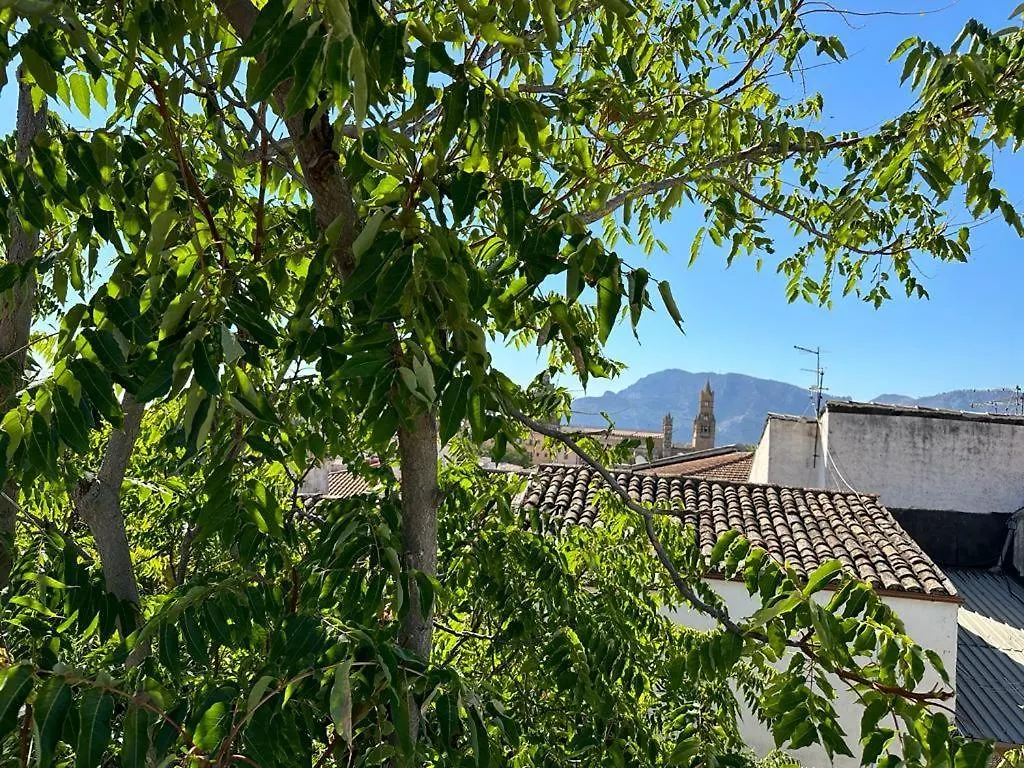 Capo Apartment Palermo