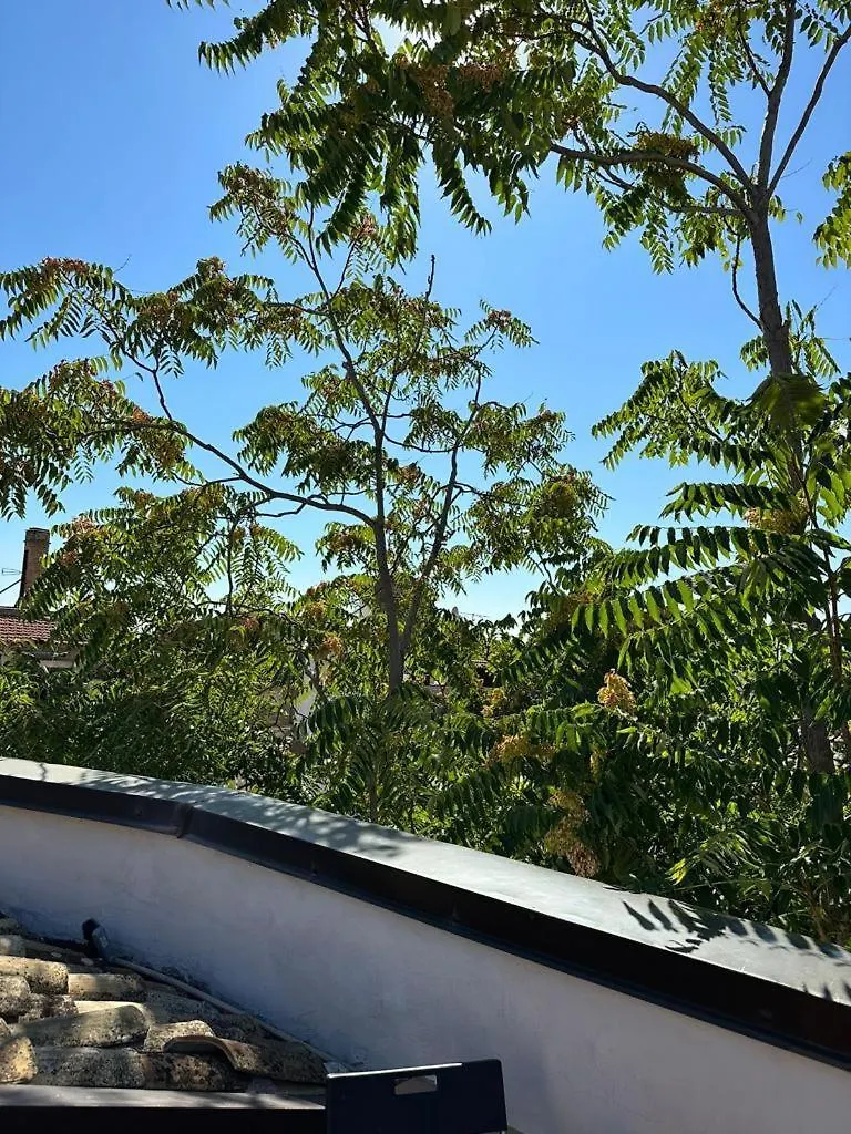 Capo Apartment Palermo